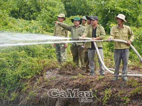 Điều tra vụ cháy rừng tại Ấp 3, xã Khánh Bình Tây Bắc