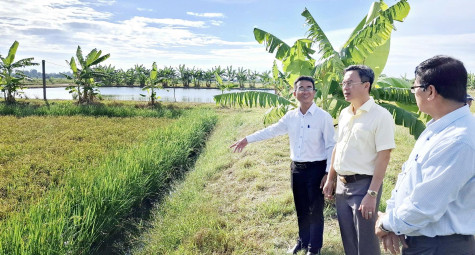 Huyện Vĩnh Lợi: Đầu tư hệ thống thủy lợi để phát triển nông nghiệp bền vững