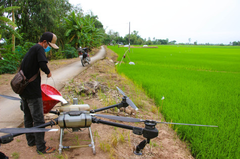 Khoa học và công nghệ - động lực then chốt phát triển Đồng bằng sông Cửu Long