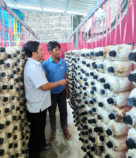 Ông Nguyễn Văn Bi: Nỗ lực vươn lên ổn định cuộc sống