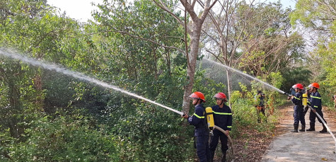 Chủ động triển khai công tác phòng cháy, chữa cháy rừng