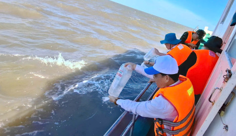 Thả khoảng 4,7 triệu con tôm post giống về biển nhằm tái tạo nguồn lợi thủy sản
