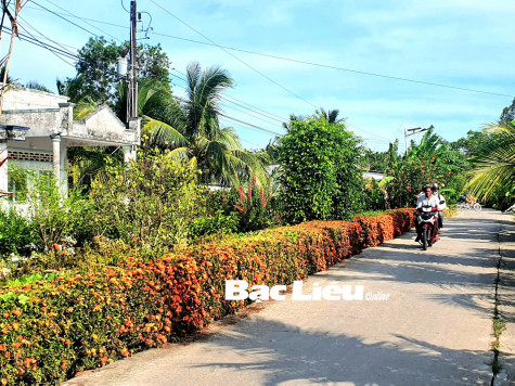 Màu nắng trên lối quê