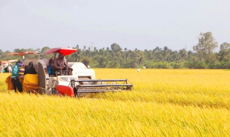 Đẩy mạnh ứng dụng khoa học - kỹ thuật vào sản xuất nông nghiệp