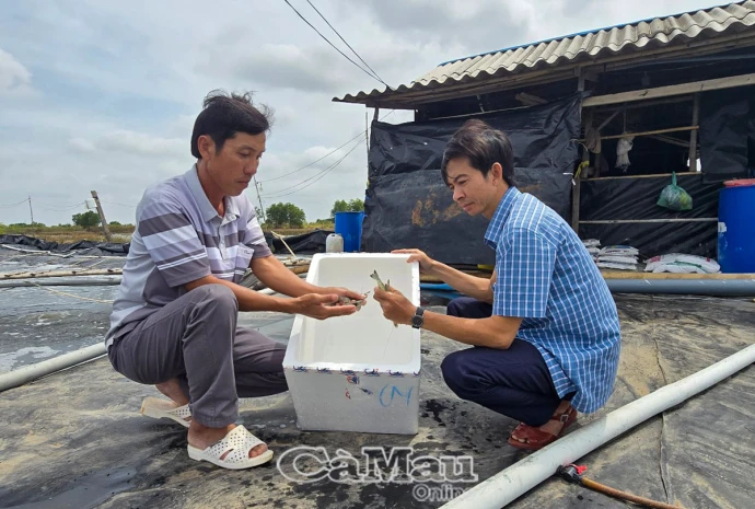 Tận dụng tiềm năng phát triển thuỷ sản