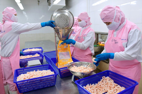 Mỹ áp dụng mức thuế đối ứng cho hàng hóa Việt Nam: Dự báo tôm xuất khẩu sẽ gặp khó