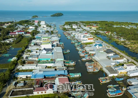 Trời yên biển lặng, cá tôm về