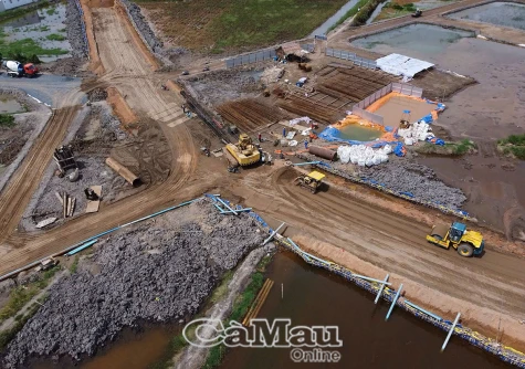 Vì sự phát triển bền vững của đất Chín Rồng