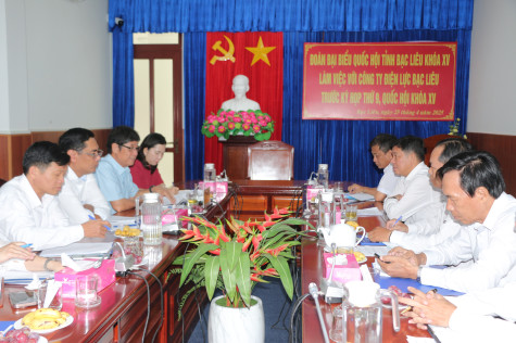 Đoàn đại biểu Quốc hội tỉnh làm việc với Công ty Điện lực Bạc Liêu về tình hình sản xuất - kinh doanh, cung cấp điện