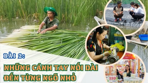 Những cánh tay nối dài đến từng ngõ nhỏ
