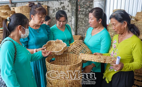 Chị em sẻ chia mô hình sinh kế