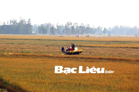 Giảm 30% tiền thuê đất phải nộp của năm 2024 đối với người sử dụng đất