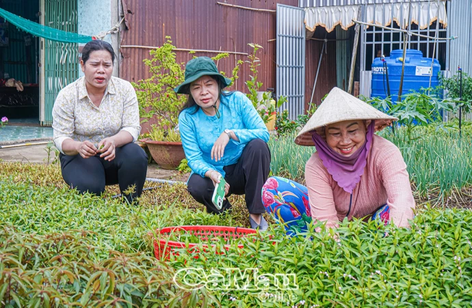 Giúp dân thoát nghèo bền vững