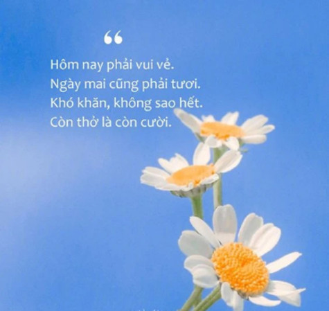 Nếu một ngày bạn mệt mỏi…