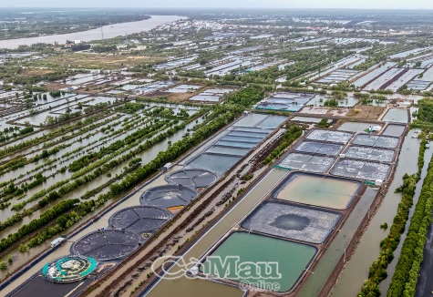 Cần chính sách đặc thù cho nông nghiệp tạo đột phá