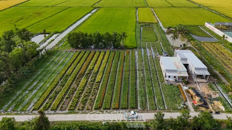 Nền tảng xây dựng nông thôn hiện đại