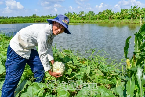 Ðộng lực từ các nghị quyết chuyên đề