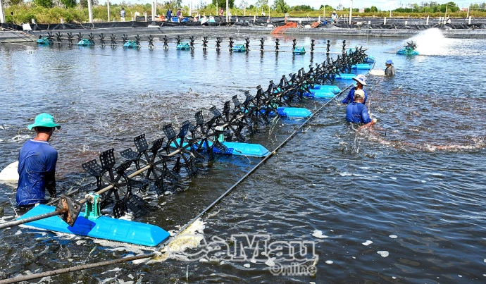 Cà Mau - Bạc Liêu hợp nhất - Cơ hội phát triển mang tính lịch sử