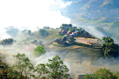 Yêu xứ mù sương