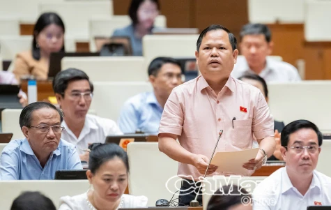 Cần bãi bỏ quy định công bố hợp quy, tạo bước đột phá trong cải cách thể chế và giảm gánh nặng cho doanh nghiệp