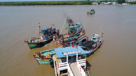 Tổng sản lượng nuôi trồng và khai thác thủy sản đạt 46.534 tấn
