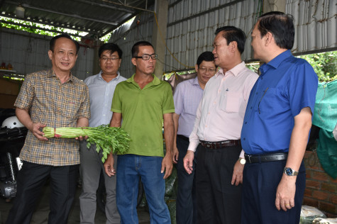 Đa dạng hóa mô hình kinh tế nông nghiệp