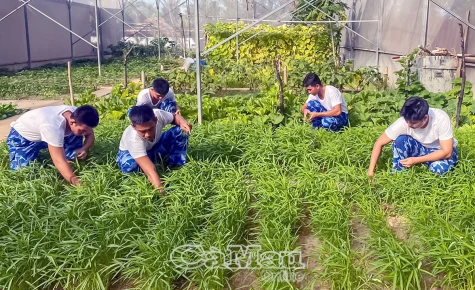 Sắc xanh Hải đoàn 42