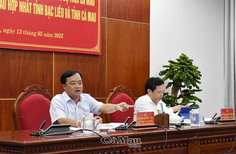 Thảo luận kịch bản tăng trưởng của tỉnh Cà Mau sau hợp nhất