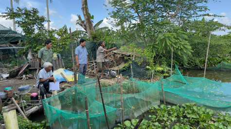 Dạy nghề theo nhu cầu lao động nông thôn