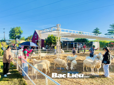 Du lịch hè vào mùa