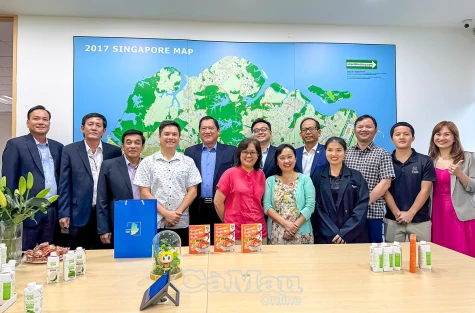 Cà Mau tăng cường xúc tiến đầu tư và thương mại với Singapore
