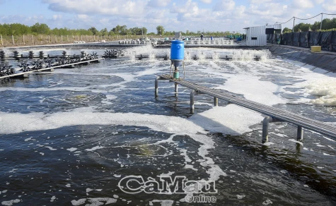 Cà Mau tích cực thực hiện Nghị quyết 57