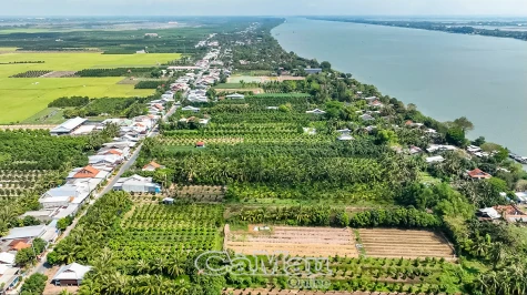 Sức vươn Cù lao Tây