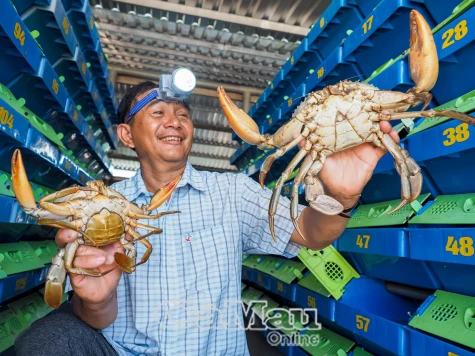 Tỷ phú nông dân