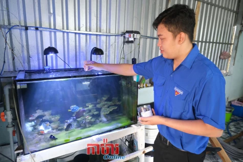 បង្កើតអាជីពនៅស្រុកកំណើត