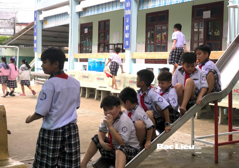 Rà soát nhu cầu chuyển trường về Cà Mau của con cán bộ