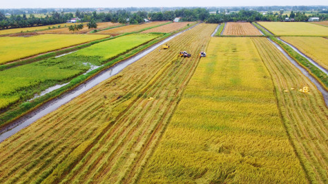 Hướng đến sản xuất nông nghiệp phát thải thấp