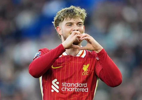 Brighton lội ngược dòng ngoạn mục trước Liverpool, thắp sáng giấc mơ châu Âu