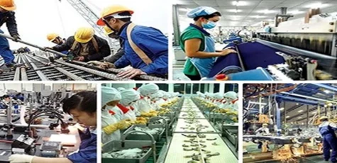 Kế hoạch hành động của Chính phủ về phát triển kinh tế tư nhân