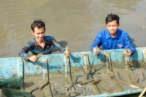 Tái cấu trúc tín dụng nông thôn