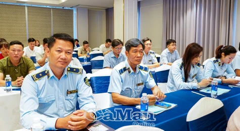 Thực thi pháp luật trong hoạt động thương mại điện tử