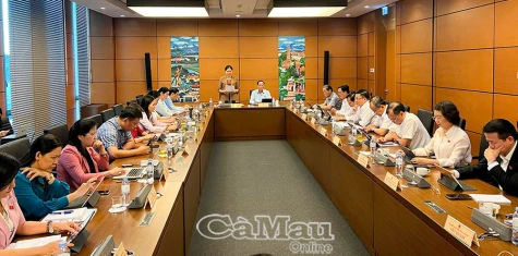 Cần quy định cụ thể trong nghị quyết giảm thuế VAT
