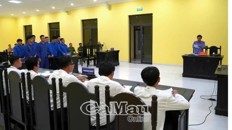 Lãnh án vì lừa thuê xe rồi đem bán