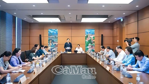 Phát huy giá trị thực tiễn của các cơ chế thí điểm, thúc đẩy phát triển bền vững