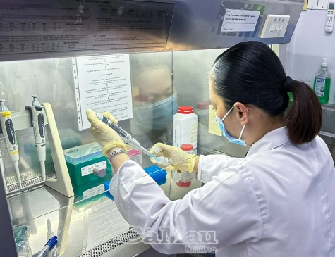 Tạo đột phá vì sự phát triển bền vững