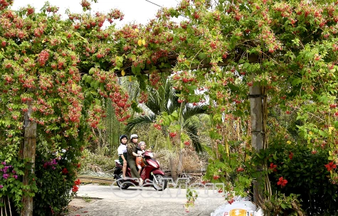 Ðiểm nhấn sắc màu