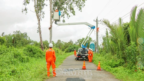 Diễn tập ứng phó và khắc phục thiệt hại lưới điện do thiên tai