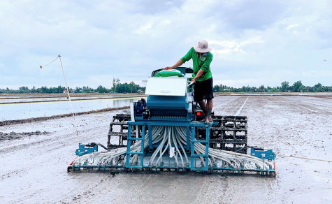 Xây dựng mô hình thí điểm sản xuất lúa chất lượng cao và phát thải thấp ở Hợp tác xã Hồng Phát