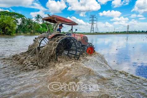 Sẵn sàng cho vụ lúa mới