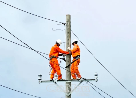 Chủ động nhanh chóng và hiệu quả
